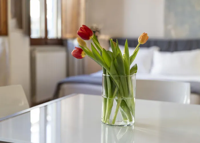 Guest house Bela . 4*